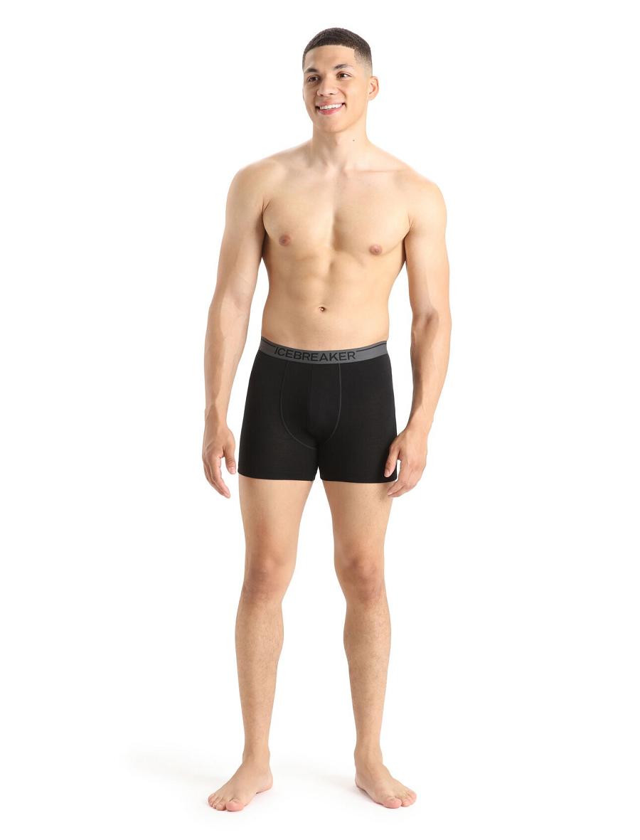 Icebreaker Merino Anatomica Boxers Férfi Fehérnemű Fekete | HU 1317NWYB